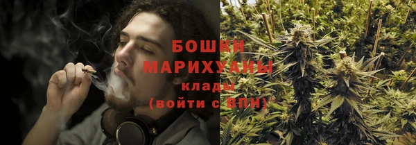 гашик Семилуки