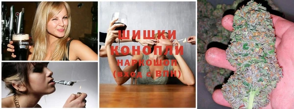 молекула духа Баксан