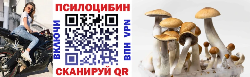 Псилоцибиновые грибы MAGIC MUSHROOMS Междуреченск