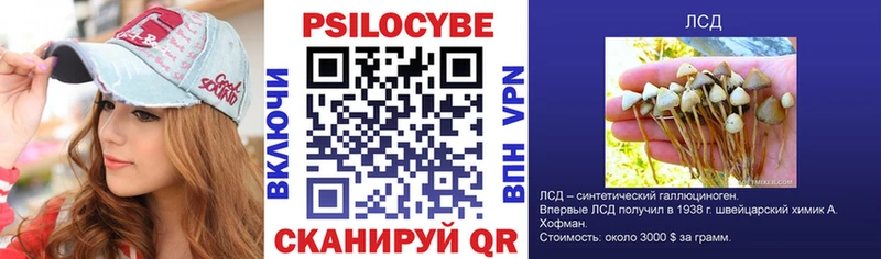Галлюциногенные грибы Psilocybe  кракен зеркало  Междуреченск  купить  сайты 