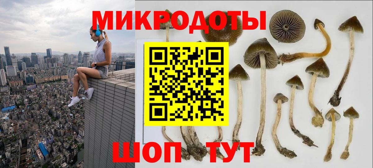 Галлюциногенные грибы мухоморы Междуреченск